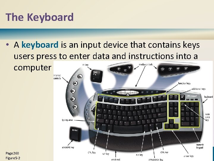 The Keyboard • A keyboard is an input device that contains keys users press