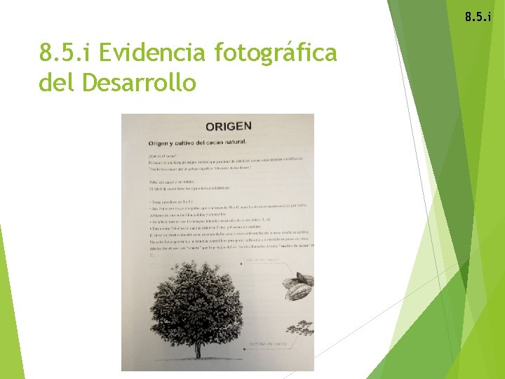 8. 5. i Evidencia fotográfica del Desarrollo 