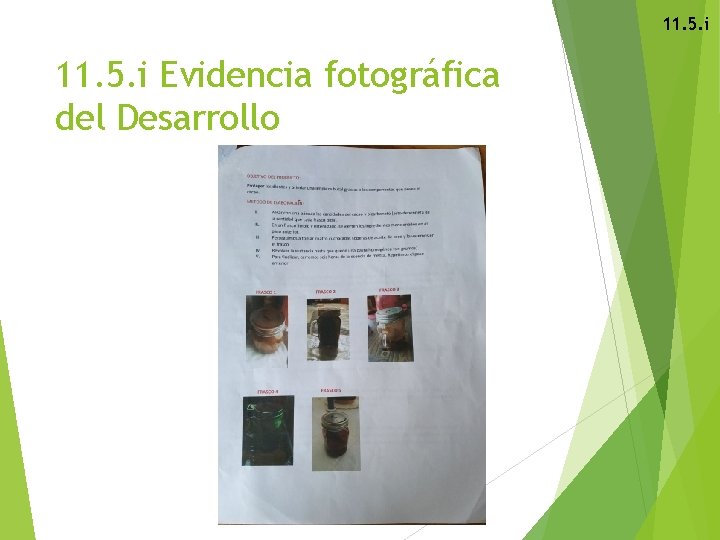 11. 5. i Evidencia fotográfica del Desarrollo 