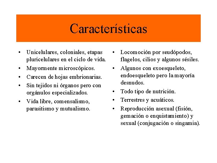 Características • Unicelulares, coloniales, etapas pluricelulares en el ciclo de vida. • Mayormente microscópicos.