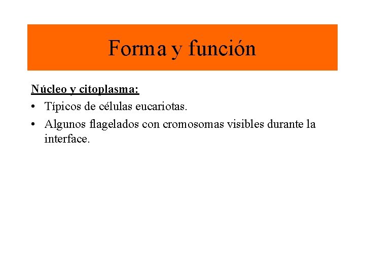 Forma y función Núcleo y citoplasma: • Típicos de células eucariotas. • Algunos flagelados