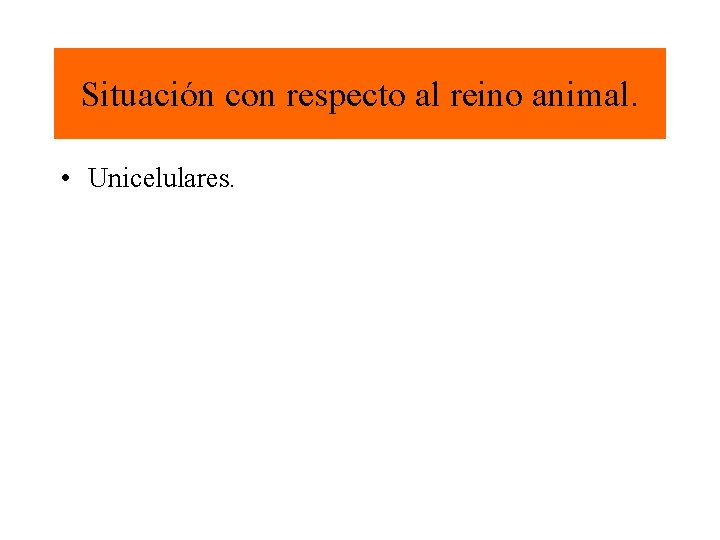 Situación con respecto al reino animal. • Unicelulares. 