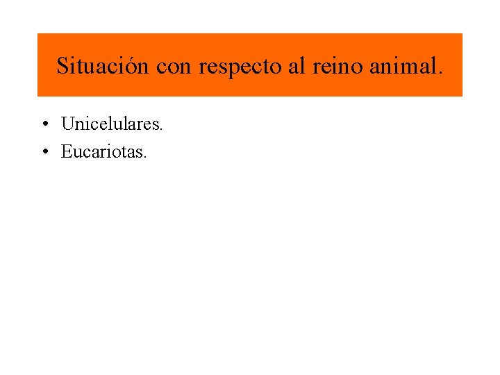 Situación con respecto al reino animal. • Unicelulares. • Eucariotas. 