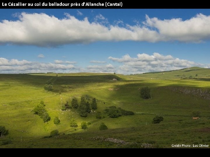 Le Cézallier au col du balladour près d'Allanche (Cantal) 