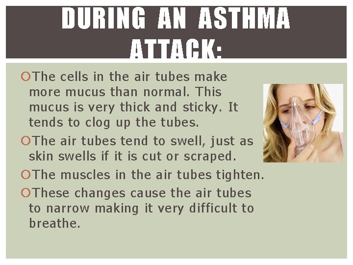 DURING AN ASTHMA ATTACK: The cells in the air tubes make more mucus than