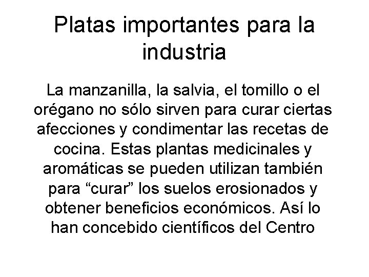 Platas importantes para la industria La manzanilla, la salvia, el tomillo o el orégano