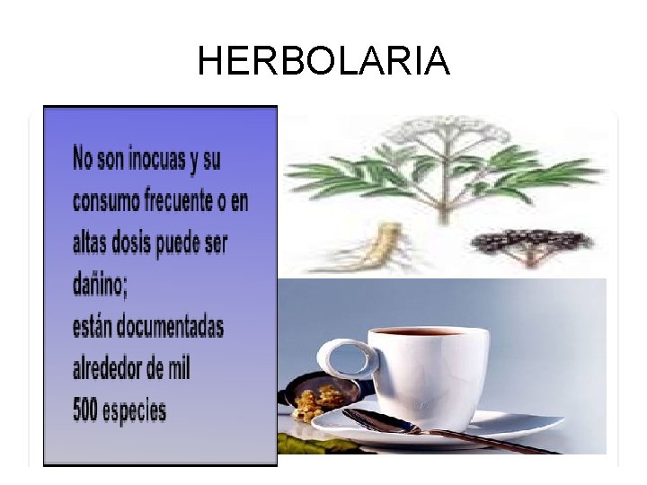 HERBOLARIA 