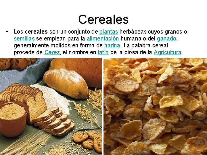 Cereales • Los cereales son un conjunto de plantas herbáceas cuyos granos o semillas