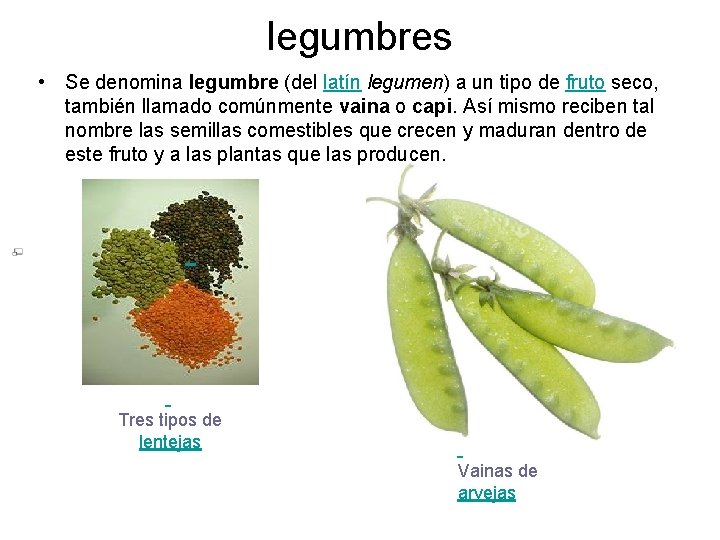  legumbres • Se denomina legumbre (del latín legumen) a un tipo de fruto