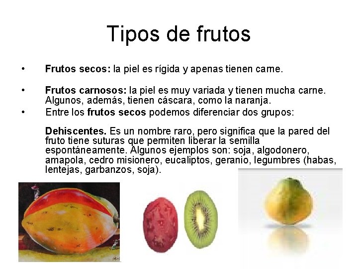 Tipos de frutos • Frutos secos: la piel es rígida y apenas tienen carne.