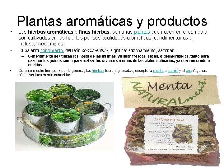 Plantas aromáticas y productos • Las hierbas aromáticas o finas hierbas, son unas plantas