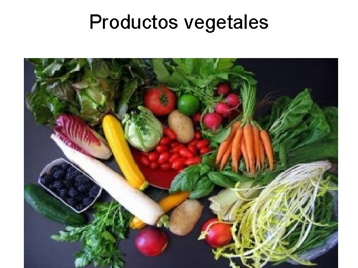 Productos vegetales 