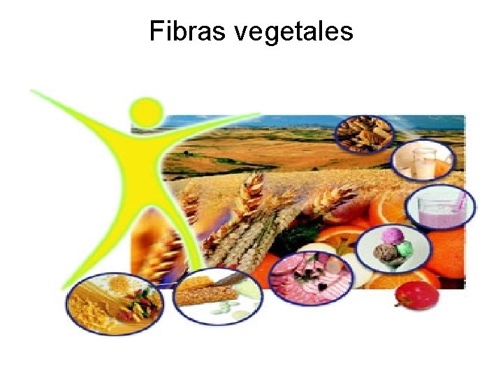 Fibras vegetales 