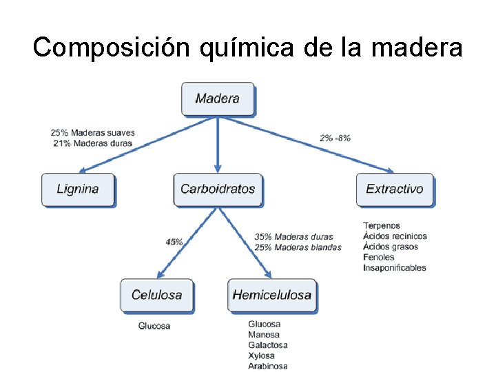 Composición química de la madera 