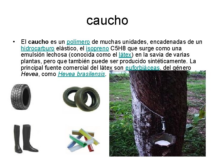 caucho • El caucho es un polímero de muchas unidades, encadenadas de un hidrocarburo