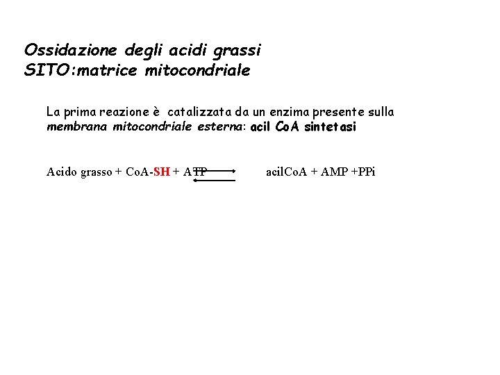 Ossidazione degli acidi grassi SITO: matrice mitocondriale La prima reazione è catalizzata da un