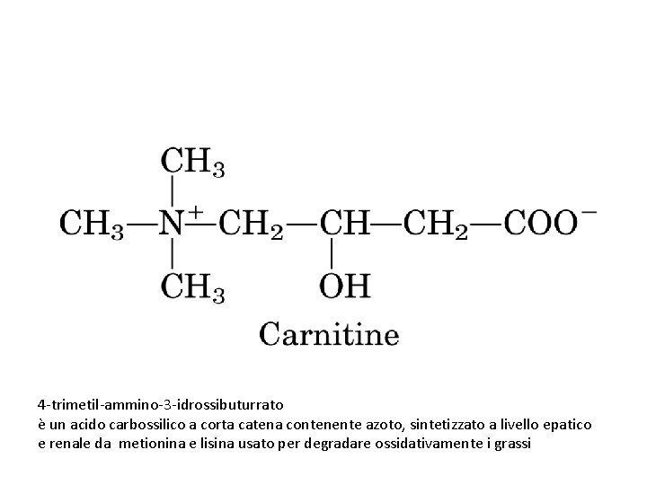 4 -trimetil-ammino-3 -idrossibuturrato è un acido carbossilico a corta catena contenente azoto, sintetizzato a