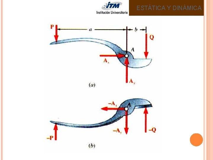 ESTÁTICA Y DINÁMICA 