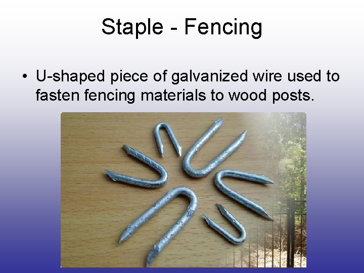 Staple - Fencing • U-shaped piece of galvanized wire used to fasten fencing materials Staple - Fencing • U-shaped piece of galvanized wire used to fasten fencing materials
