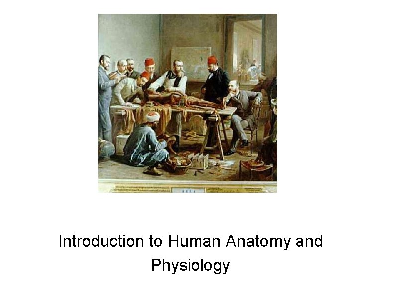 Introduction to Human Anatomy and Physiology 