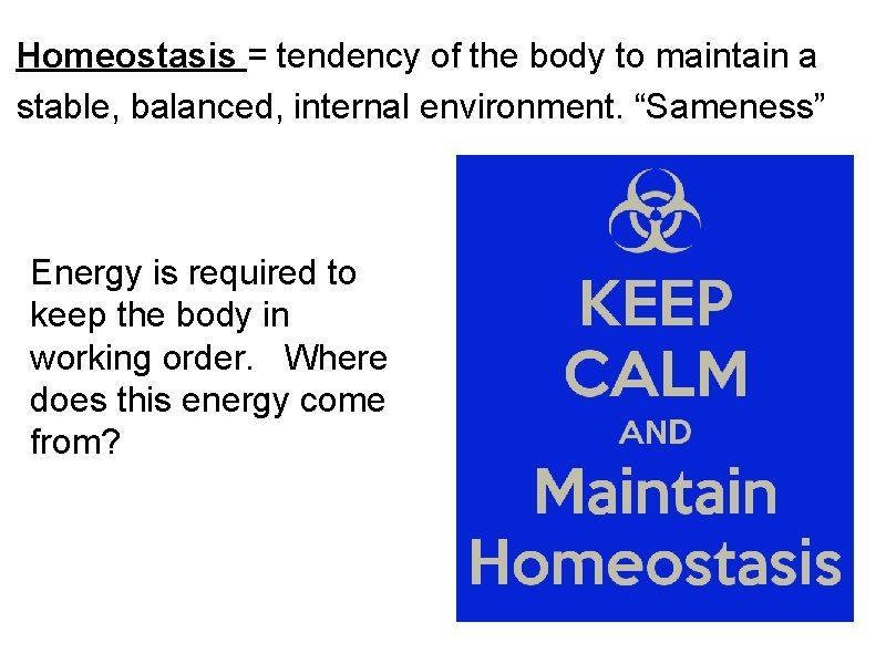 Homeostasis = tendency of the body to maintain a stable, balanced, internal environment. “Sameness”