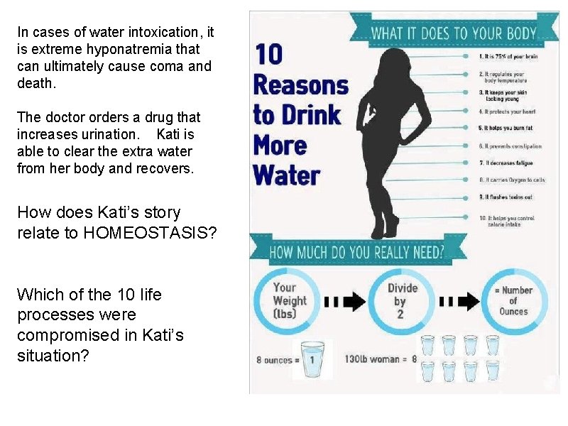 In cases of water intoxication, it is extreme hyponatremia that can ultimately cause coma