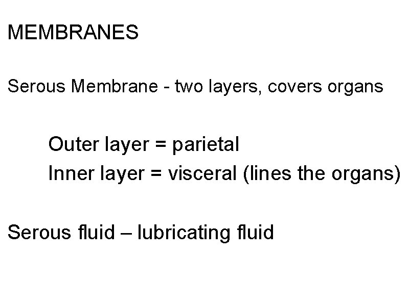 MEMBRANES Serous Membrane - two layers, covers organs Outer layer = parietal Inner layer