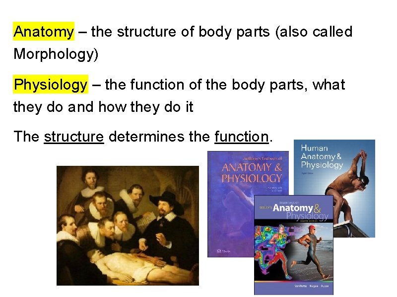 Anatomy – the structure of body parts (also called Morphology) Physiology – the function