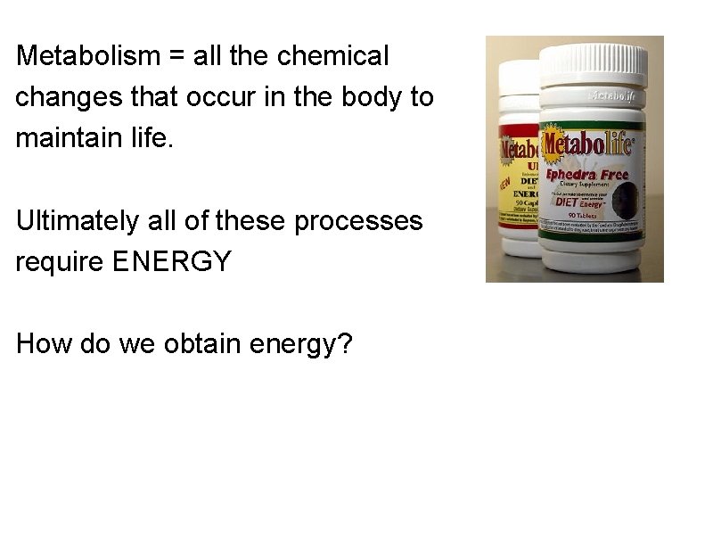 Metabolism = all the chemical changes that occur in the body to maintain life.