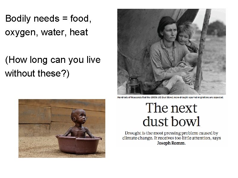 Bodily needs = food, oxygen, water, heat (How long can you live without these?