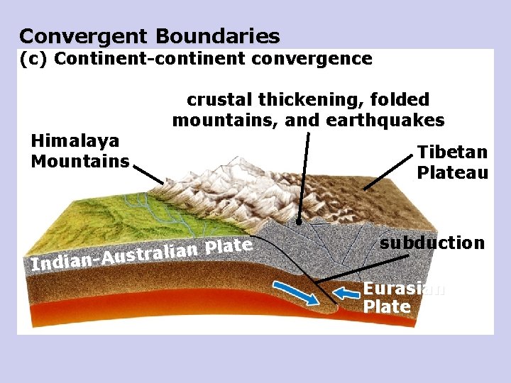 Convergent Boundaries (c) Continent-continent convergence Himalaya Mountains crustal thickening, folded mountains, and earthquakes late