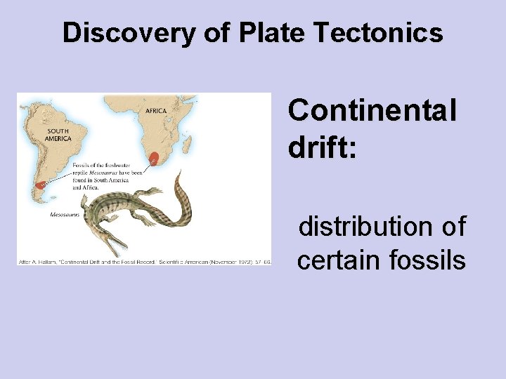 Discovery of Plate Tectonics Continental drift: distribution of certain fossils 