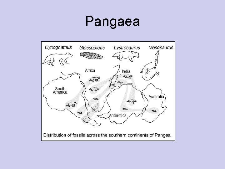 Pangaea 