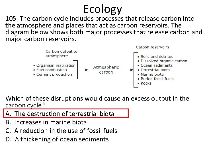 Ecology 105. The carbon cycle includes processes that release carbon into the atmosphere and