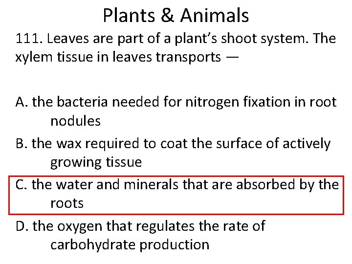 Plants & Animals 111. Leaves are part of a plant’s shoot system. The xylem