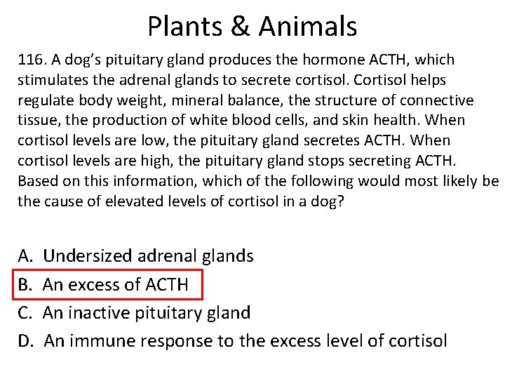 Plants & Animals 116. A dog’s pituitary gland produces the hormone ACTH, which stimulates