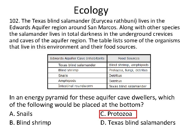 Ecology 102. The Texas blind salamander (Eurycea rathbuni) lives in the Edwards Aquifer region