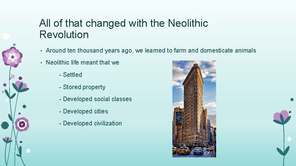 All of that changed with the Neolithic Revolution • Around ten thousand years ago,