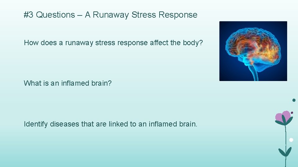#3 Questions – A Runaway Stress Response How does a runaway stress response affect