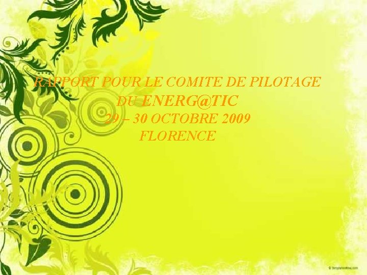 RAPPORT POUR LE COMITE DE PILOTAGE DU ENERG@TIC 29 – 30 OCTOBRE 2009 FLORENCE