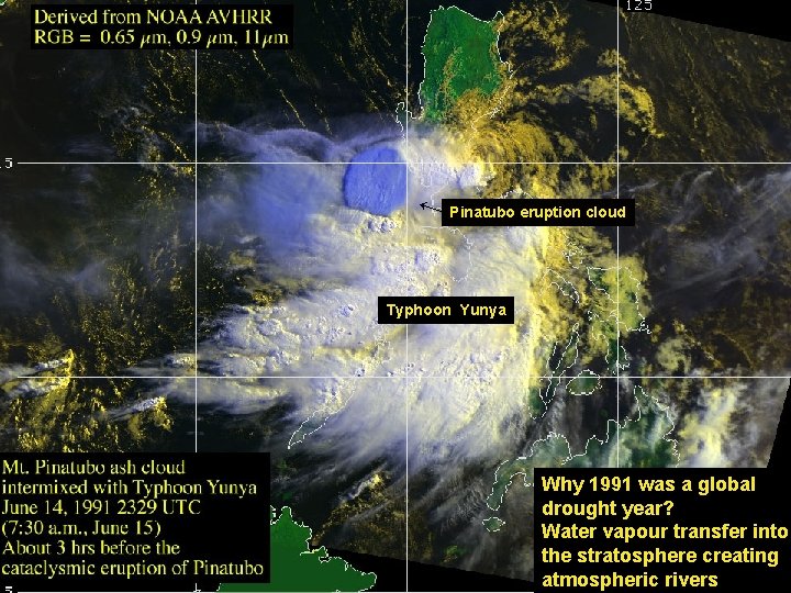 ↓ Pinatubo eruption cloud Typhoon Yunya Why 1991 was a global drought year? Water