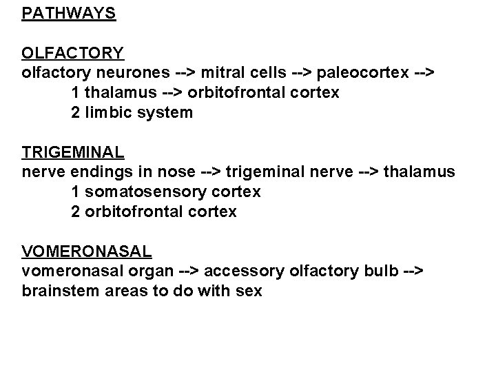 PATHWAYS OLFACTORY olfactory neurones --> mitral cells --> paleocortex --> 1 thalamus --> orbitofrontal