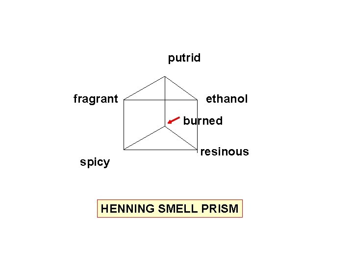 putrid fragrant ethanol burned spicy resinous HENNING SMELL PRISM 