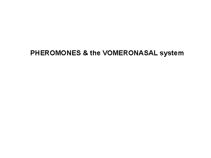 PHEROMONES & the VOMERONASAL system 