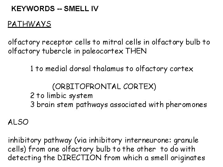 KEYWORDS -- SMELL IV PATHWAYS olfactory receptor cells to mitral cells in olfactory bulb