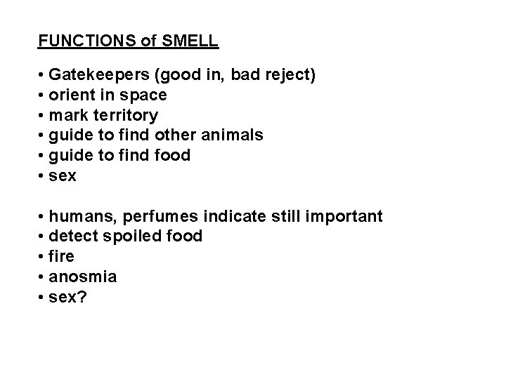 FUNCTIONS of SMELL • Gatekeepers (good in, bad reject) • orient in space • FUNCTIONS of SMELL • Gatekeepers (good in, bad reject) • orient in space •