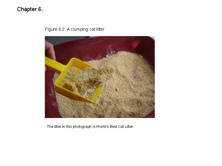 Chapter 6. Figure 6. 2 A clumping cat litter The litter in this photograph