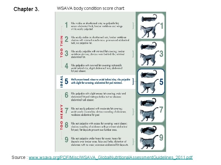 Chapter 3. WSAVA body condition score chart: Source : www. wsava. org/PDF/Misc/WSAVA_Global. Nutritional. Assessment.