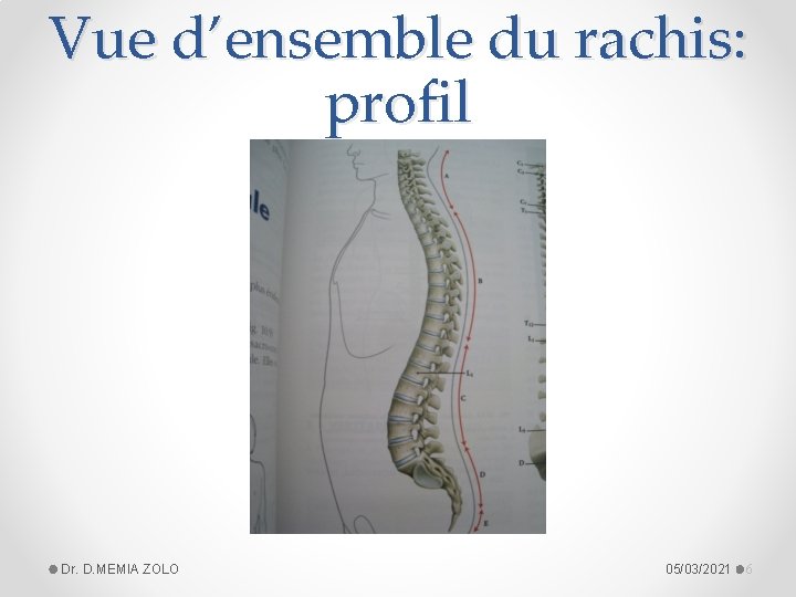 Vue d’ensemble du rachis: profil Dr. D. MEMIA ZOLO 05/03/2021 6 