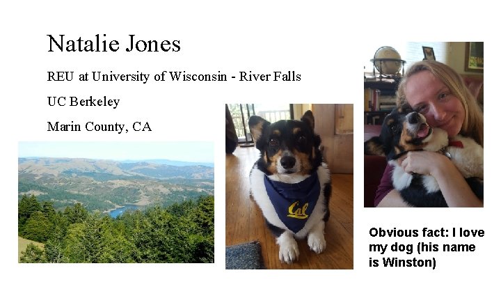 Natalie Jones REU at University of Wisconsin - River Falls UC Berkeley Marin County, Natalie Jones REU at University of Wisconsin - River Falls UC Berkeley Marin County,